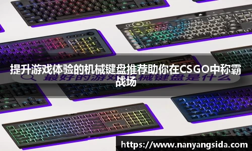 提升游戏体验的机械键盘推荐助你在CSGO中称霸战场